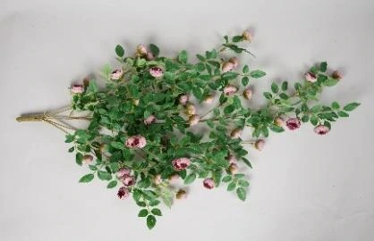 Tiny Peony with Beed Creeper 90cm